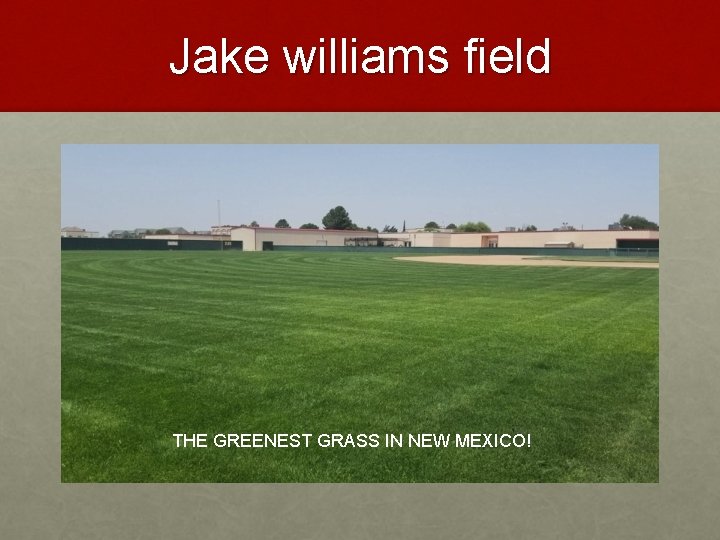 Jake williams field THE GREENEST GRASS IN NEW MEXICO! 