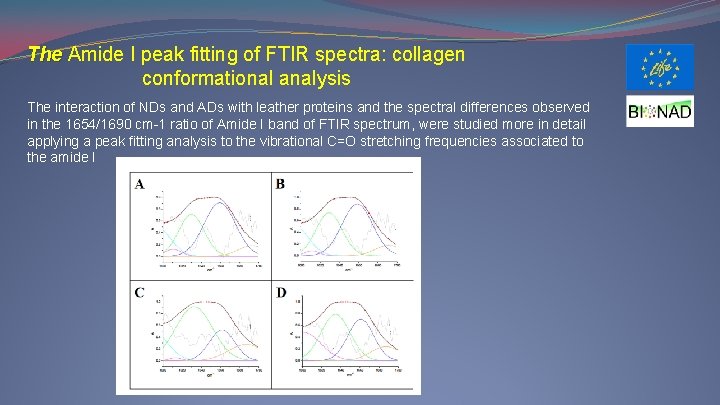 The Amide I peak fitting of FTIR spectra: collagen conformational analysis The interaction of