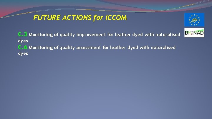 FUTURE ACTIONS for ICCOM C. 3 Monitoring of quality improvement for leather dyed with