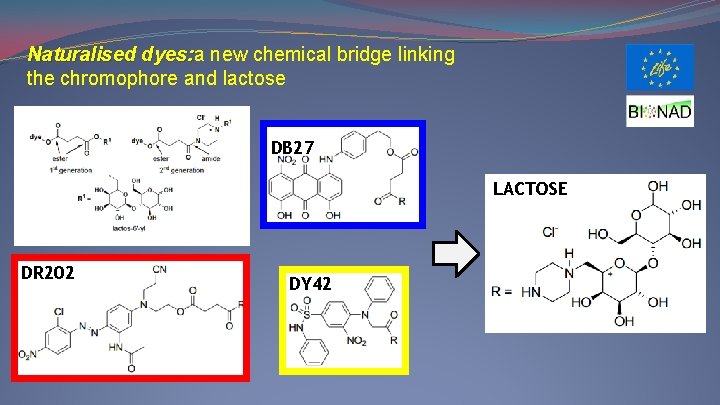 Naturalised dyes: a dyes: new chemical bridge linking the chromophore and lactose DB 27