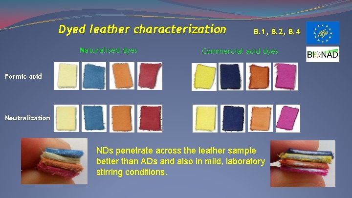 Dyed leather characterization Naturalised dyes B. 1, B. 2, B. 4 Commercial acid dyes