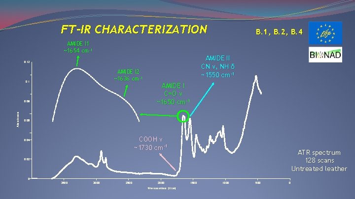 FT-IR CHARACTERIZATION AMIDE I 1 ~1654 cm-1 AMIDE II CN ν, NH δ ~1550