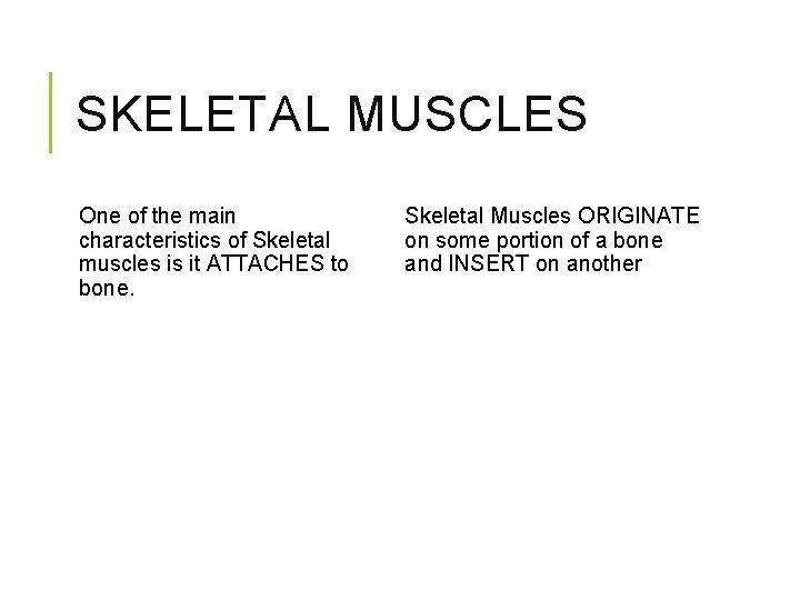 SKELETAL MUSCLES One of the main characteristics of Skeletal muscles is it ATTACHES to