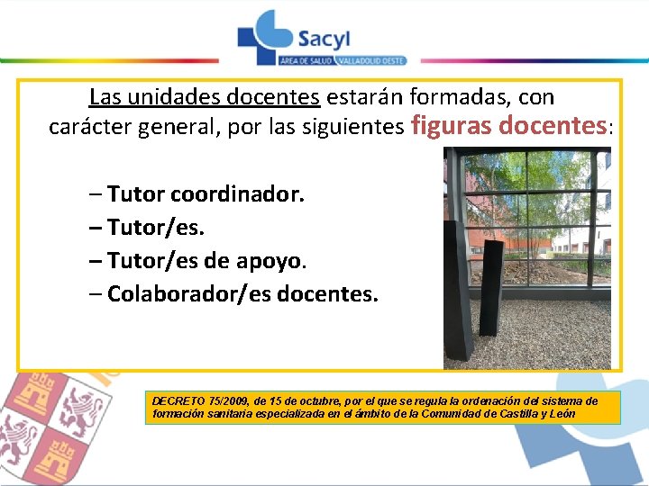 Las unidades docentes estarán formadas, con carácter general, por las siguientes figuras docentes: –