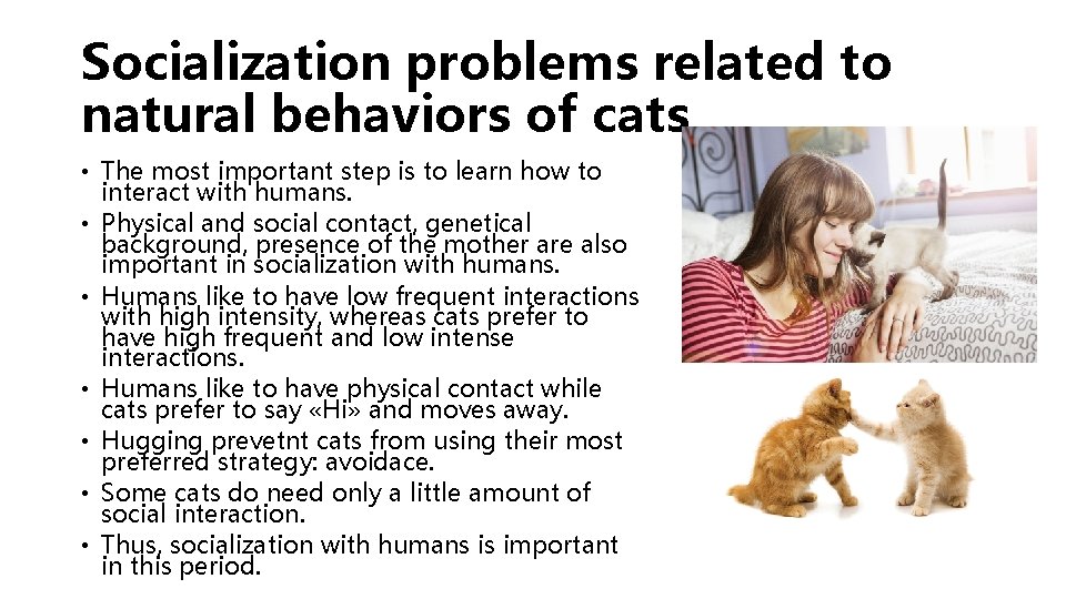 Socialization problems related to natural behaviors of cats • The most important step is