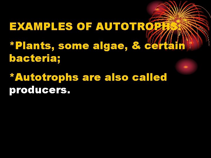 EXAMPLES OF AUTOTROPHS: *Plants, some algae, & certain bacteria; *Autotrophs are also called producers.