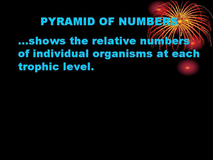 PYRAMID OF NUMBERS …shows the relative numbers of individual organisms at each trophic level.
