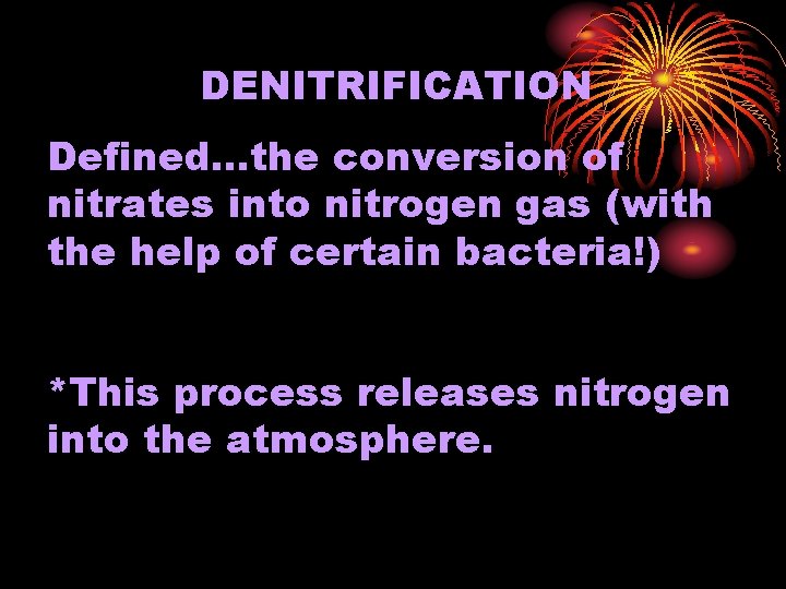 DENITRIFICATION Defined…the conversion of nitrates into nitrogen gas (with the help of certain bacteria!)