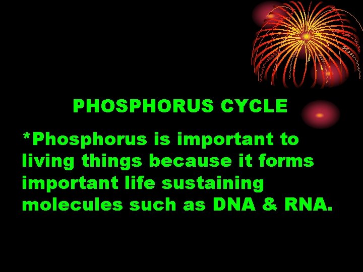 PHOSPHORUS CYCLE *Phosphorus is important to living things because it forms important life sustaining