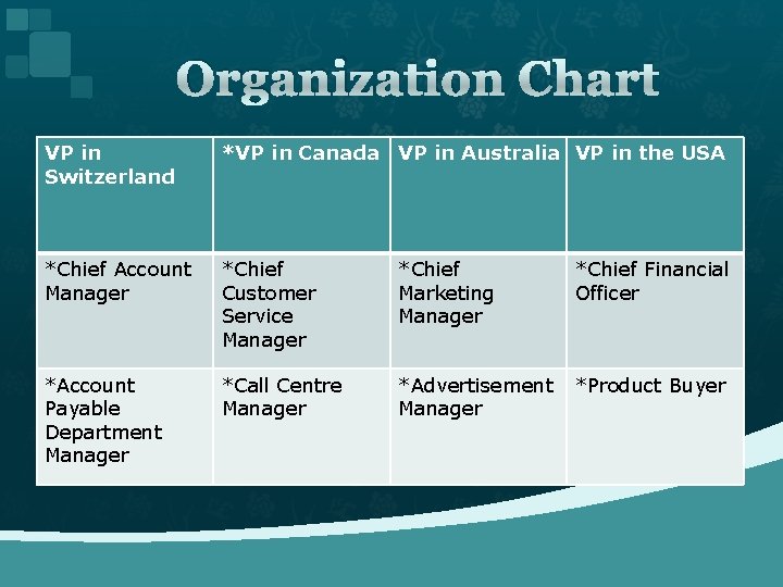 Organization Chart VP in Switzerland *VP in Canada VP in Australia VP in the