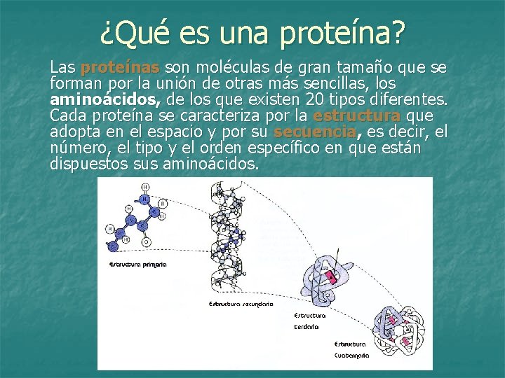 ¿Qué es una proteína? Las proteínas son moléculas de gran tamaño que se forman
