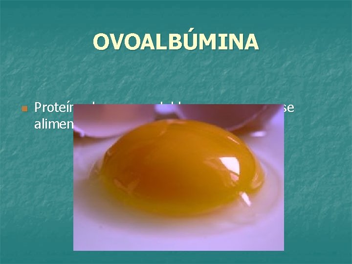 OVOALBÚMINA n Proteína de reserva del huevo, para que se alimente el embrión en