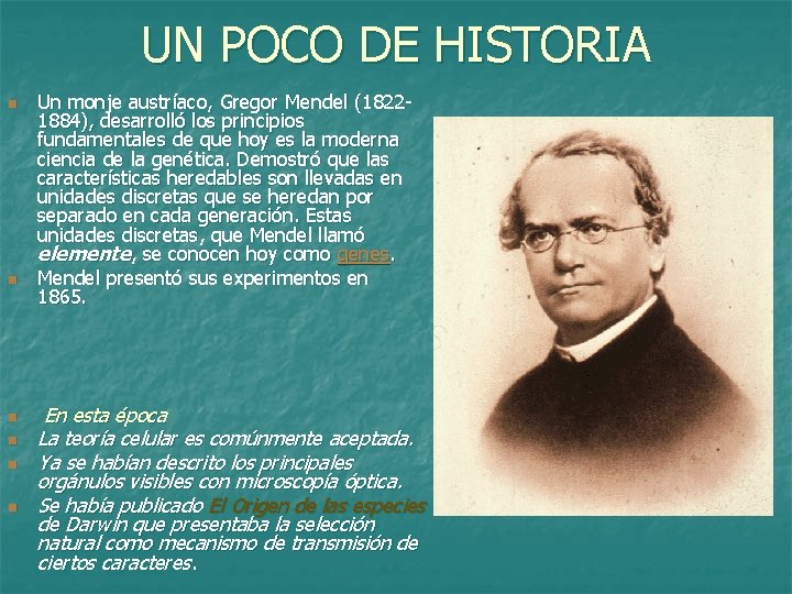 UN POCO DE HISTORIA n n n Un monje austríaco, Gregor Mendel (18221884), desarrolló
