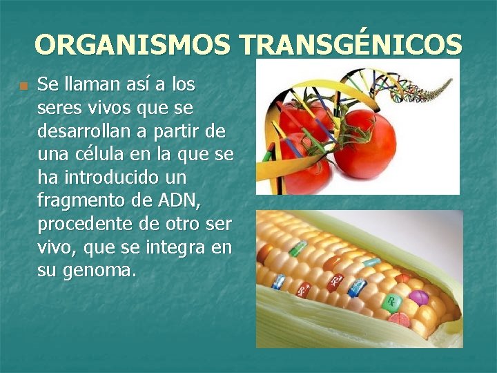 ORGANISMOS TRANSGÉNICOS n Se llaman así a los seres vivos que se desarrollan a
