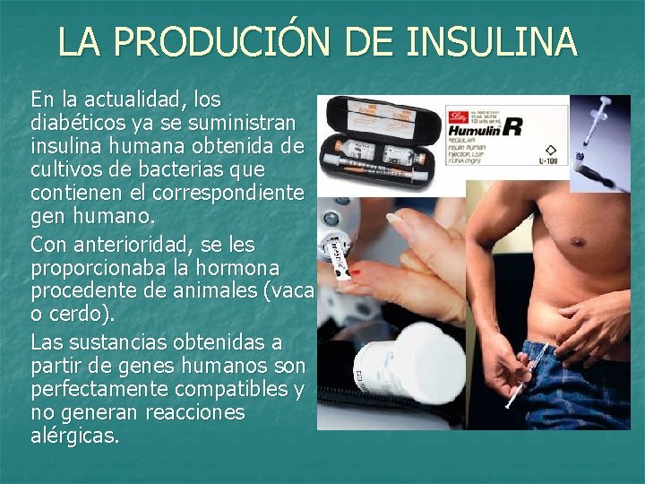 LA PRODUCIÓN DE INSULINA En la actualidad, los diabéticos ya se suministran insulina humana