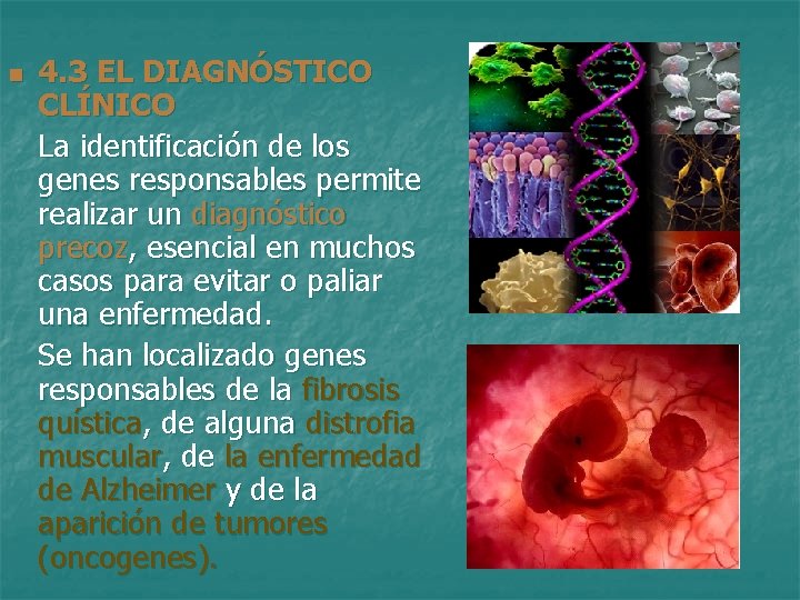 n 4. 3 EL DIAGNÓSTICO CLÍNICO La identificación de los genes responsables permite realizar