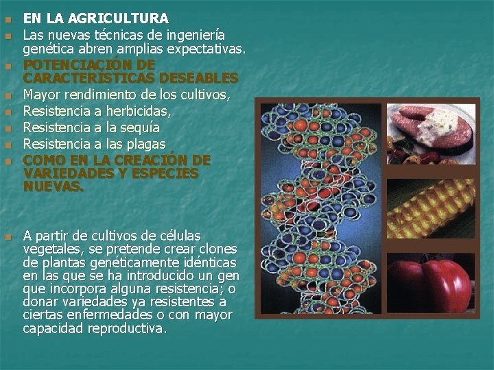 n n n n n EN LA AGRICULTURA Las nuevas técnicas de ingeniería genética