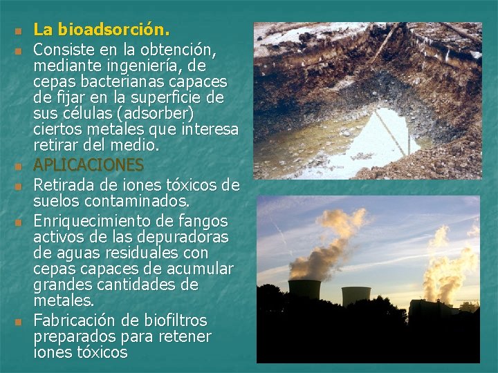 n n n La bioadsorción. Consiste en la obtención, mediante ingeniería, de cepas bacterianas