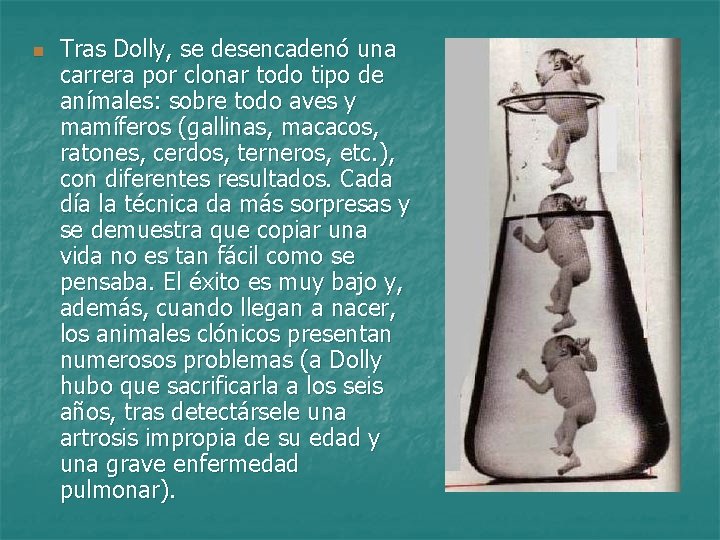 n Tras Dolly, se desencadenó una carrera por clonar todo tipo de anímales: sobre