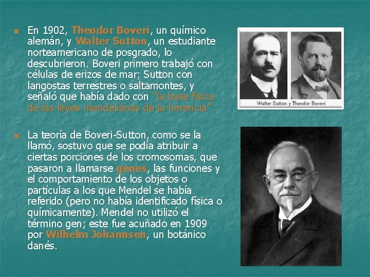n n En 1902, Theodor Boveri, un químico alemán, y Walter Sutton, un estudiante