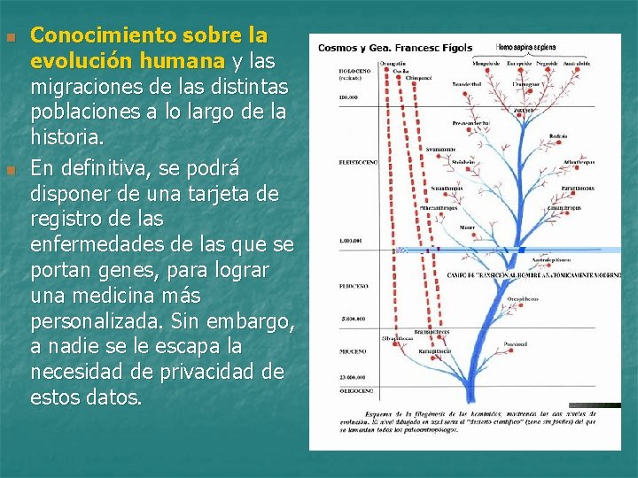n n Conocimiento sobre la evolución humana y las migraciones de las distintas poblaciones