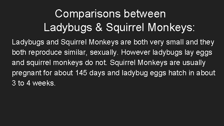 Comparisons between Ladybugs & Squirrel Monkeys: Ladybugs and Squirrel Monkeys are both very small