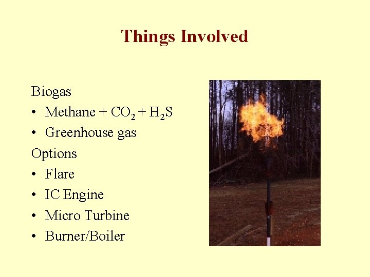 Things Involved Biogas • Methane + CO 2 + H 2 S • Greenhouse