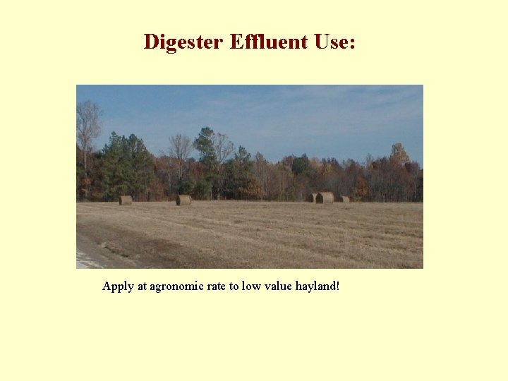 Digester Effluent Use: Apply at agronomic rate to low value hayland! 