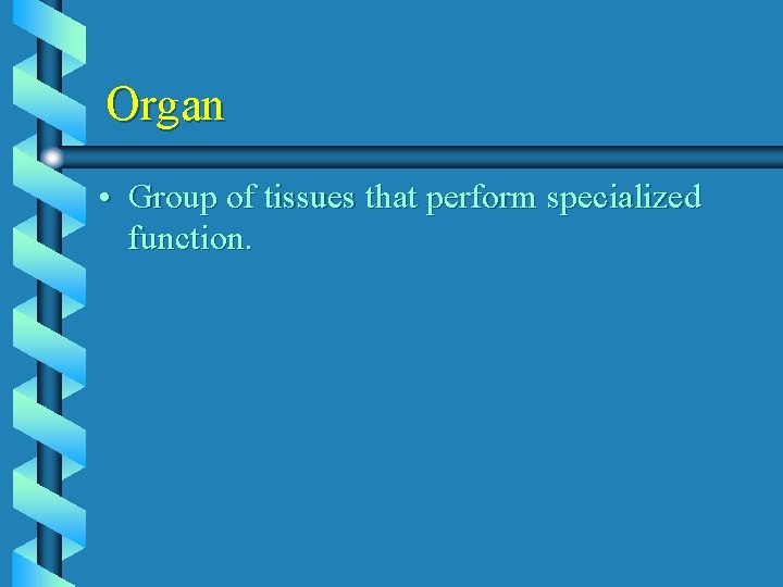 Organ • Group of tissues that perform specialized function. 