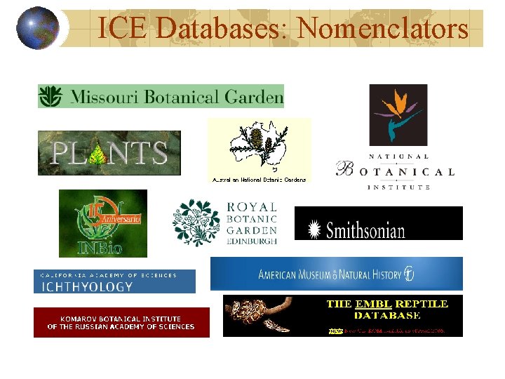 ICE Databases: Nomenclators ICE Databases: Nomenclators
