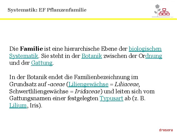 Systematik: EF Pflanzenfamilie Die Familie ist eine hierarchische Ebene der biologischen Systematik. Sie steht
