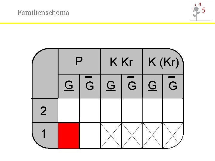 Familienschema P K Kr K (Kr) _ _ _ G G G 2 1