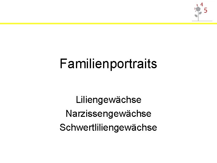 Familienportraits Liliengewächse Narzissengewächse Schwertliliengewächse 