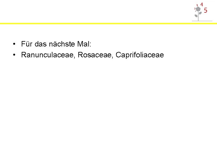  • Für das nächste Mal: • Ranunculaceae, Rosaceae, Caprifoliaceae 