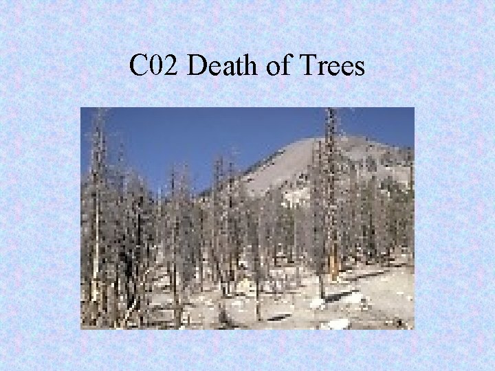 C 02 Death of Trees 