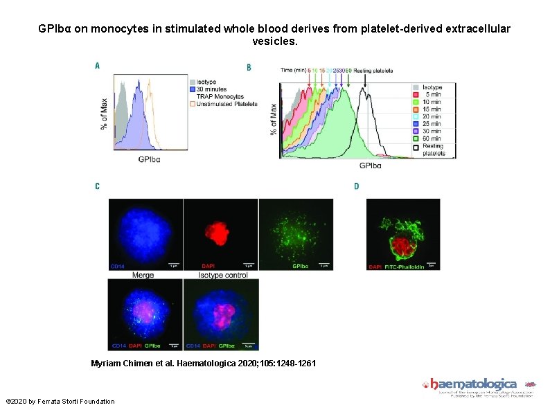 GPIbα on monocytes in stimulated whole blood derives from platelet-derived extracellular vesicles. Myriam Chimen