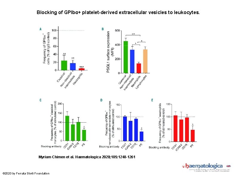 Blocking of GPIbα+ platelet-derived extracellular vesicles to leukocytes. Myriam Chimen et al. Haematologica 2020;