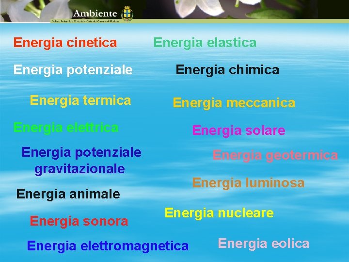 Energia cinetica Energia potenziale Energia termica Energia elastica Energia chimica Energia meccanica Energia elettrica