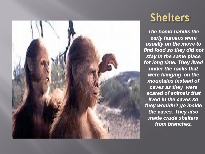 Shelters The homo habilis the early humans were usually on the move to find
