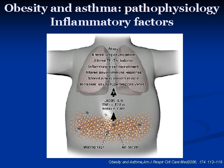 Obesity and asthma: pathophysiology Inflammatory factors Obesity and Asthma, Am J Respir Crit Care