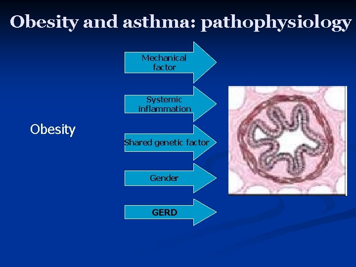 Obesity and asthma: pathophysiology Mechanical factor Systemic inflammation Obesity Shared genetic factor Gender GERD