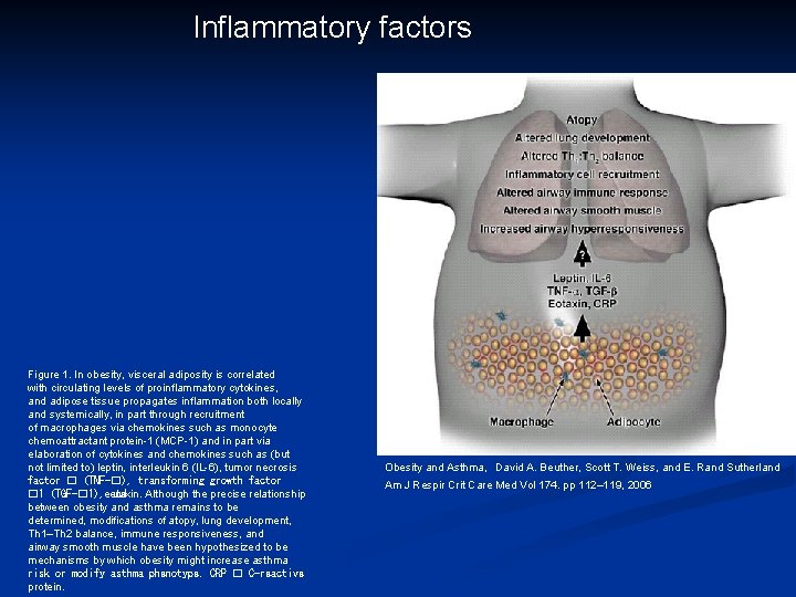Inflammatory factors Figure 1. In obesity, visceral adiposity is correlated with circulating levels of