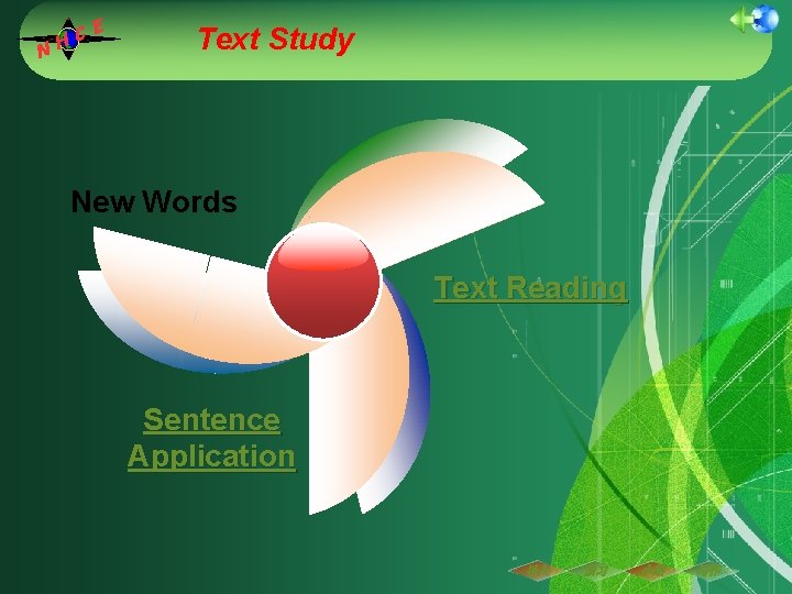 C H N E Text Study New Words Text Reading Sentence Application 导入 预习 C H N E Text Study New Words Text Reading Sentence Application 导入 预习