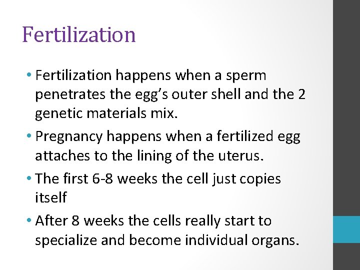 Fertilization • Fertilization happens when a sperm penetrates the egg’s outer shell and the