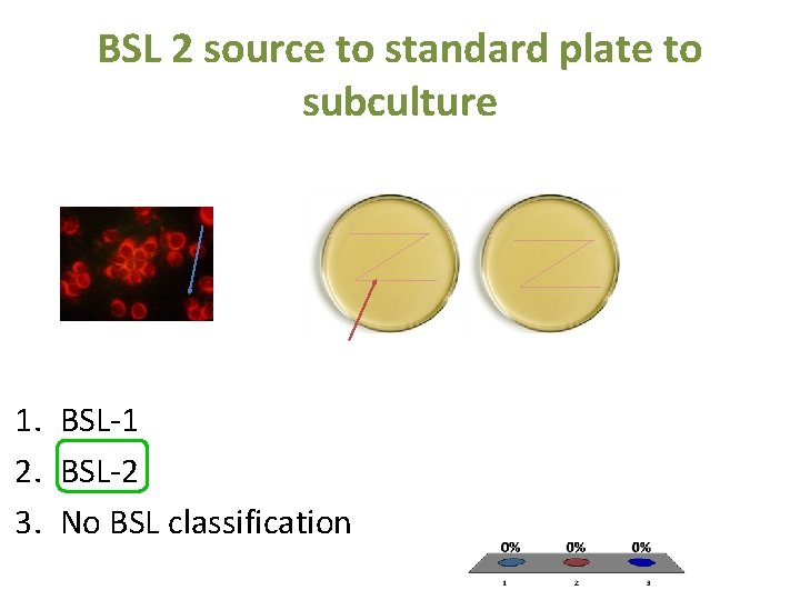 BSL 2 source to standard plate to subculture 1. BSL-1 2. BSL-2 3. No