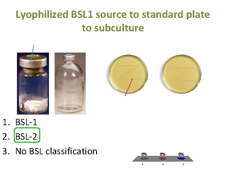 Lyophilized BSL 1 source to standard plate to subculture 1. BSL-1 2. BSL-2 3.