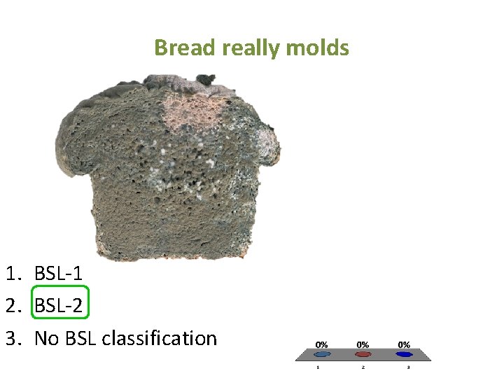 Bread really molds 1. BSL-1 2. BSL-2 3. No BSL classification 