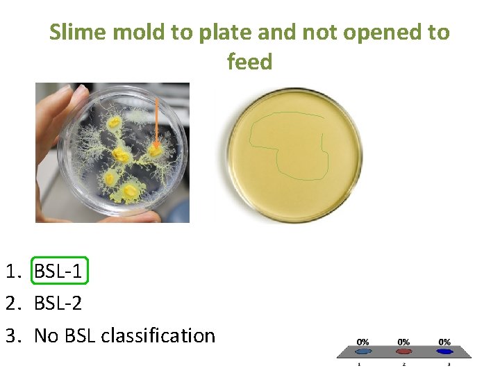 Slime mold to plate and not opened to feed 1. BSL-1 2. BSL-2 3.