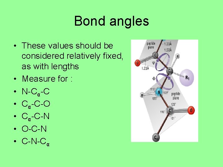 Bond angles • These values should be considered relatively fixed, as with lengths •