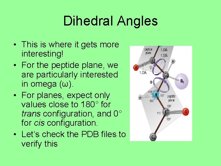 Dihedral Angles • This is where it gets more interesting! • For the peptide